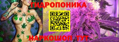 2c-b Пугачёв