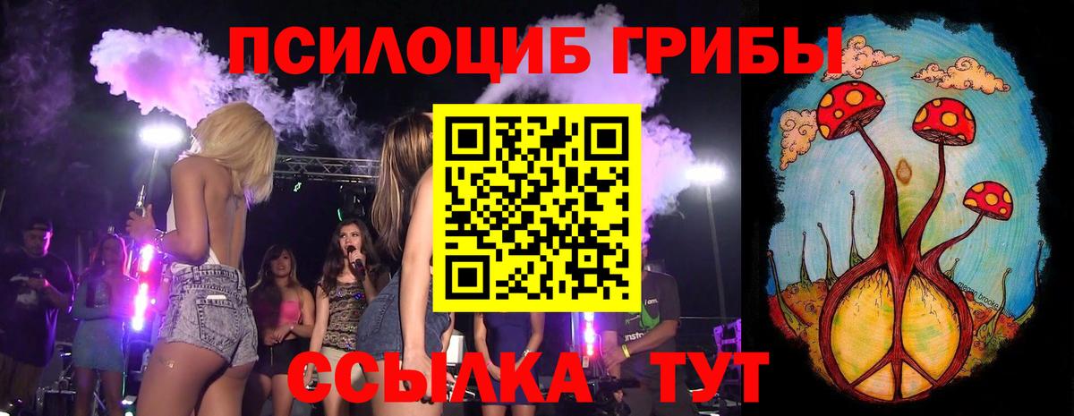 Псилоцибиновые грибы MAGIC MUSHROOMS  Вход с VPN  Тамбов  Псилоцибиновые грибы Psilocybine cubensis 